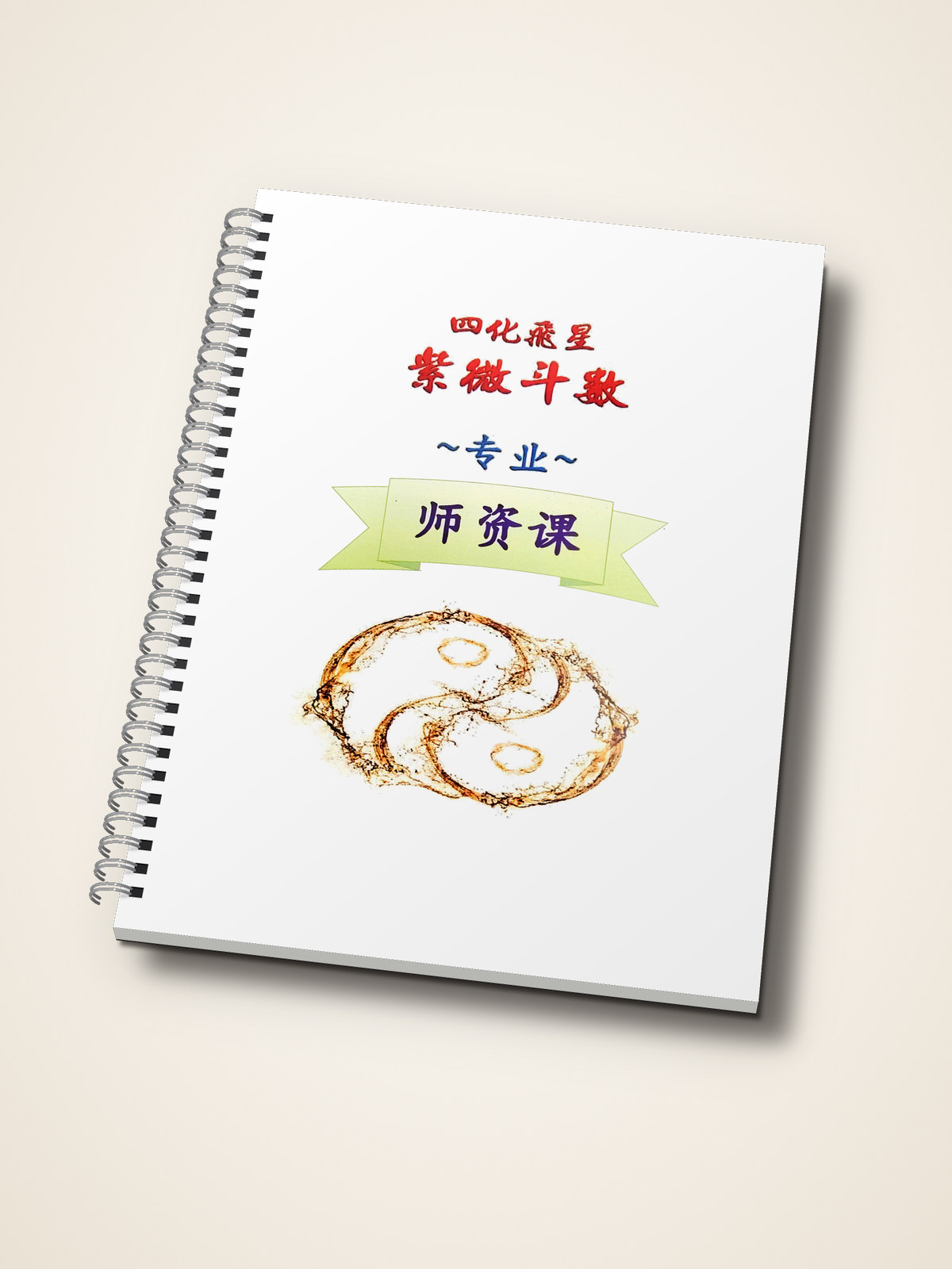 四化飞星紫微斗数专业师资课教材