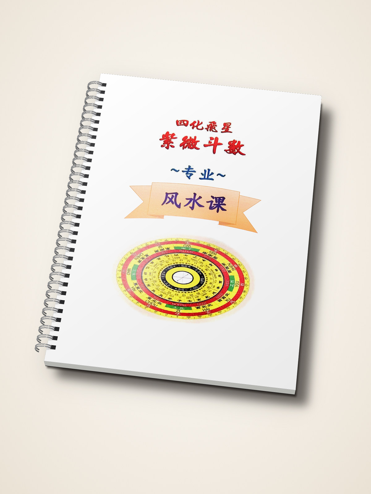 四化飞星紫微斗数专业风水课教材